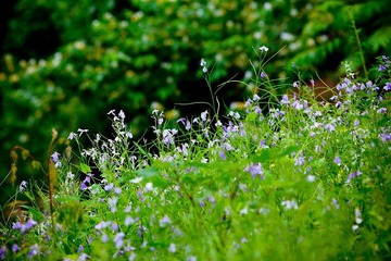nEO_IMG_IMG_3726.jpg