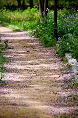 nEO_IMG_IMG_3782.jpg