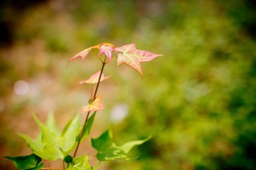 nEO_IMG_IMG_3947.jpg