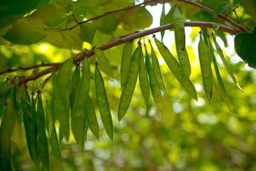 nEO_IMG_IMG_3950.jpg