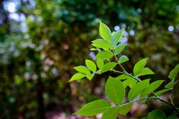 nEO_IMG_IMG_3954.jpg