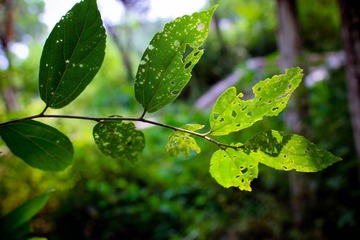 nEO_IMG_IMG_3957.jpg