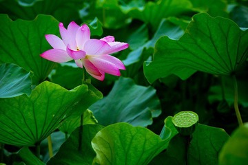 nEO_IMG_IMG_4613.jpg
