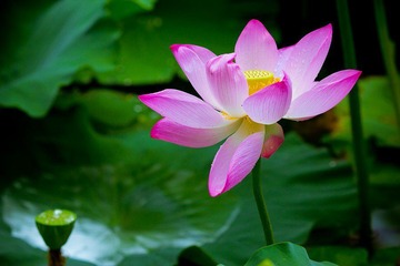 nEO_IMG_IMG_4618.jpg