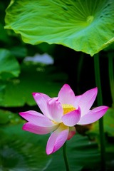 nEO_IMG_IMG_4619.jpg