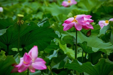 nEO_IMG_IMG_4640.jpg