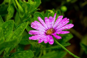 nEO_IMG_IMG_4650.jpg