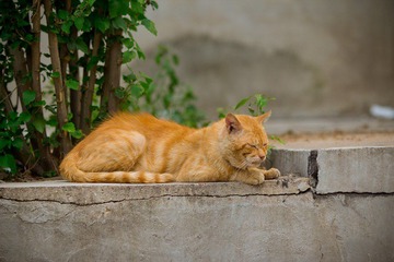 nEO_IMG_IMG_4680.jpg