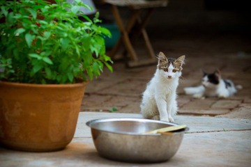 nEO_IMG_IMG_4691.jpg