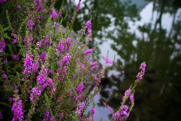 nEO_IMG_IMG_4855.jpg