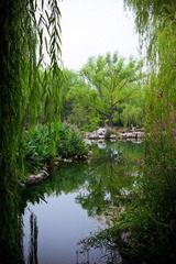 nEO_IMG_IMG_4863.jpg