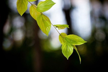 nEO_IMG_IMG_5900.jpg