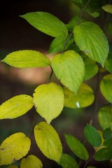 nEO_IMG_IMG_5902.jpg