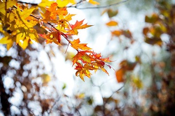 nEO_IMG_IMG_5907.jpg