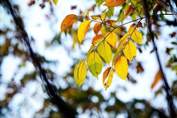 nEO_IMG_IMG_5909.jpg
