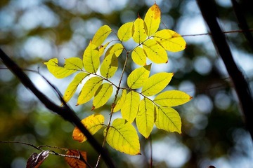 nEO_IMG_IMG_5910.jpg