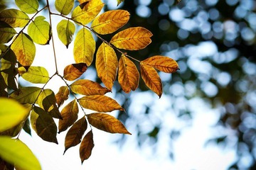 nEO_IMG_IMG_5912.jpg