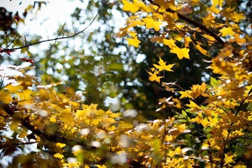 nEO_IMG_IMG_5927.jpg