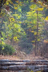 nEO_IMG_IMG_5929.jpg