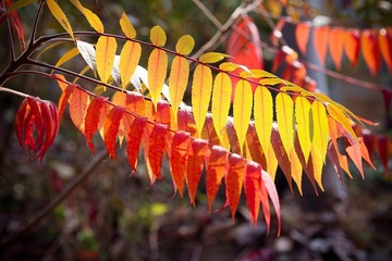nEO_IMG_IMG_5931.jpg