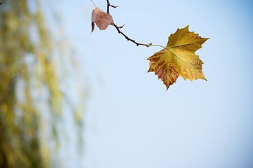 nEO_IMG_IMG_5932.jpg