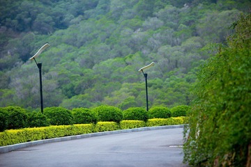 nEO_IMG_IMG_6096.jpg