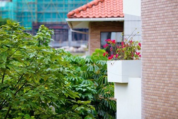 nEO_IMG_IMG_6098.jpg