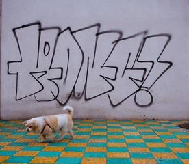 nEO_IMG_IMG_6225.jpg