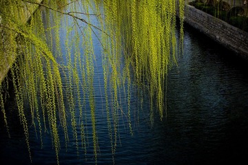 nEO_IMG_IMG_7683.jpg