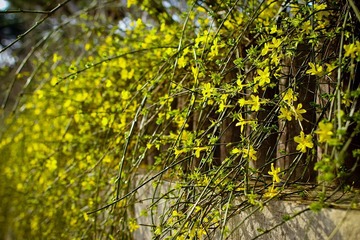 nEO_IMG_IMG_7691.jpg