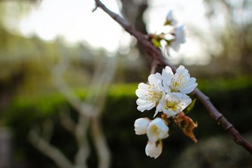 nEO_IMG_IMG_7694.jpg