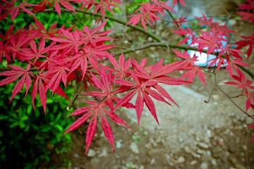 nEO_IMG_IMG_8094.jpg