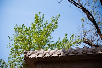 nEO_IMG_IMG_8230.jpg