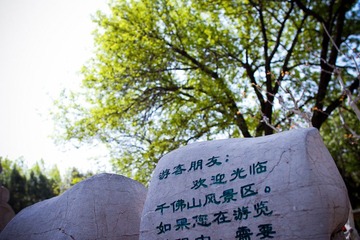 nEO_IMG_IMG_8231.jpg