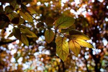 nEO_IMG_IMG_8242.jpg