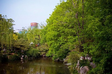 nEO_IMG_IMG_8259.jpg
