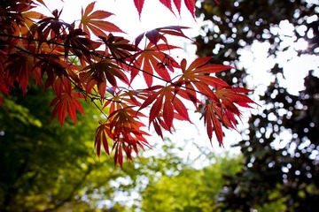 nEO_IMG_IMG_8284.jpg