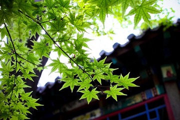 nEO_IMG_IMG_8291.jpg