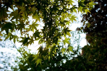 nEO_IMG_IMG_8297.jpg