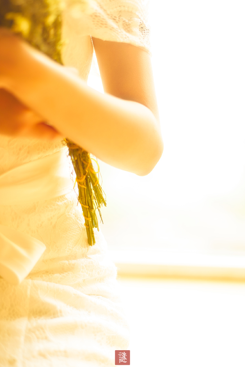 你被写在我的歌声里