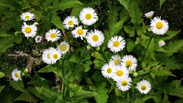 DSC00357_