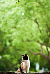 IMGP2326-编辑.jpg