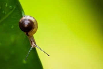 IMGP2455-编辑.jpg