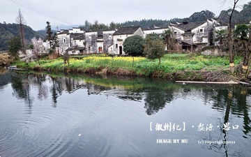 SDIM3360
