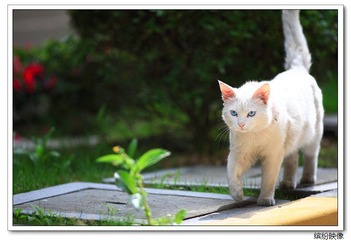 IMG_9906