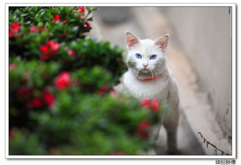 IMG_9882