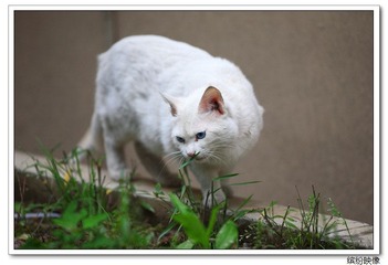 IMG_9871