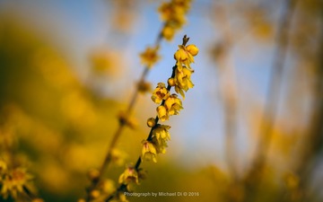 20160126-DSC_0880