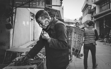 20180115-800_9923