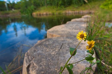 IMG_0012.jpg